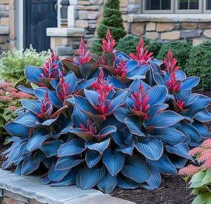 Хоста Грин Фог купить по цене от 669р. в интернет-магазине «Посадика» с доставкой почтой в в Березовскийе и по всей России – [изображение №1].