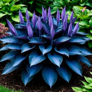 Хоста Сикрет Гров купить по цене от 570р. в интернет-магазине «Посадика» с доставкой почтой в в Березовскийе и по всей России – [изображение №1].