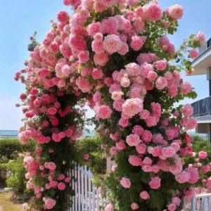 Роза Пастель Розе купить по цене от 605р. в интернет-магазине «Посадика» с доставкой почтой в в Березовскийе и по всей России – [изображение №1].